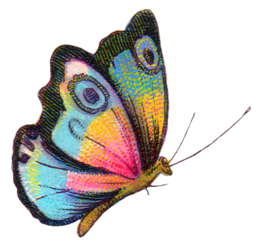 royalty free butterfly clipart - photo #1