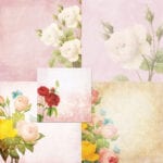 previewroses_2