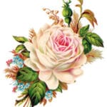 free-vintage-rose-transfer-FPTFY-3