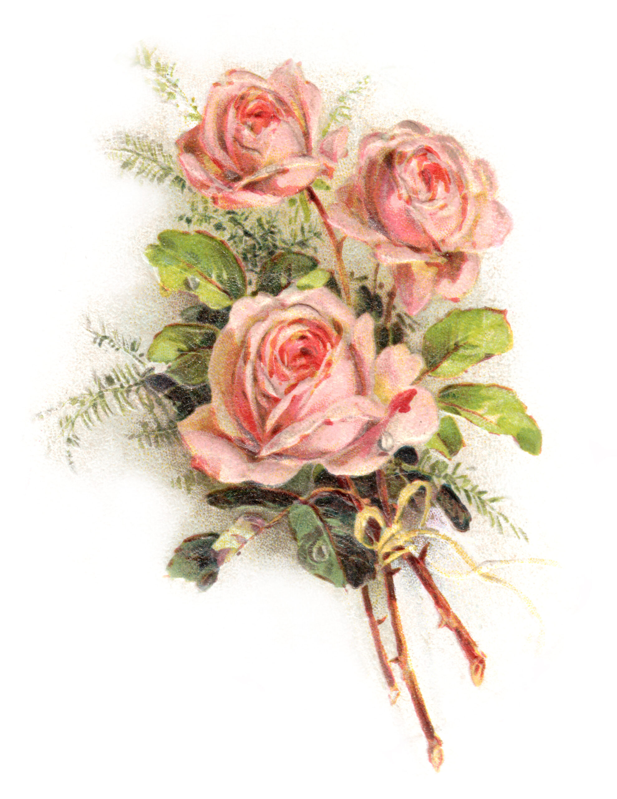 free clip art vintage roses - photo #23