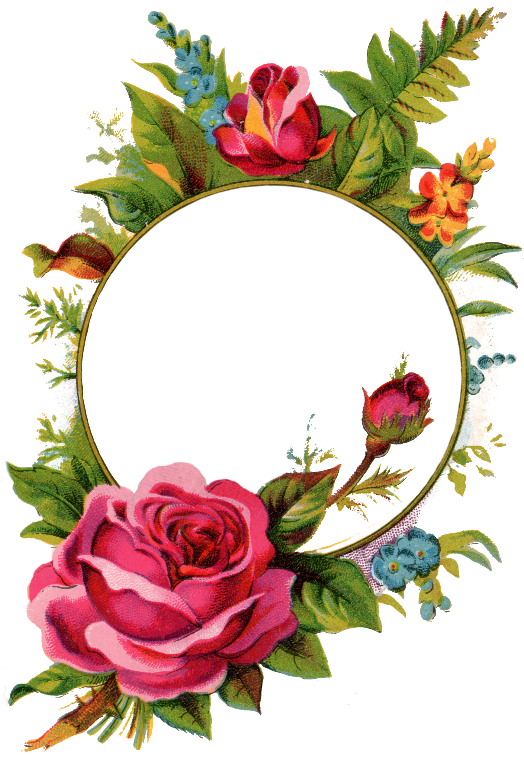 Free Stock Images-Rose Frame - Free Pretty Things For You