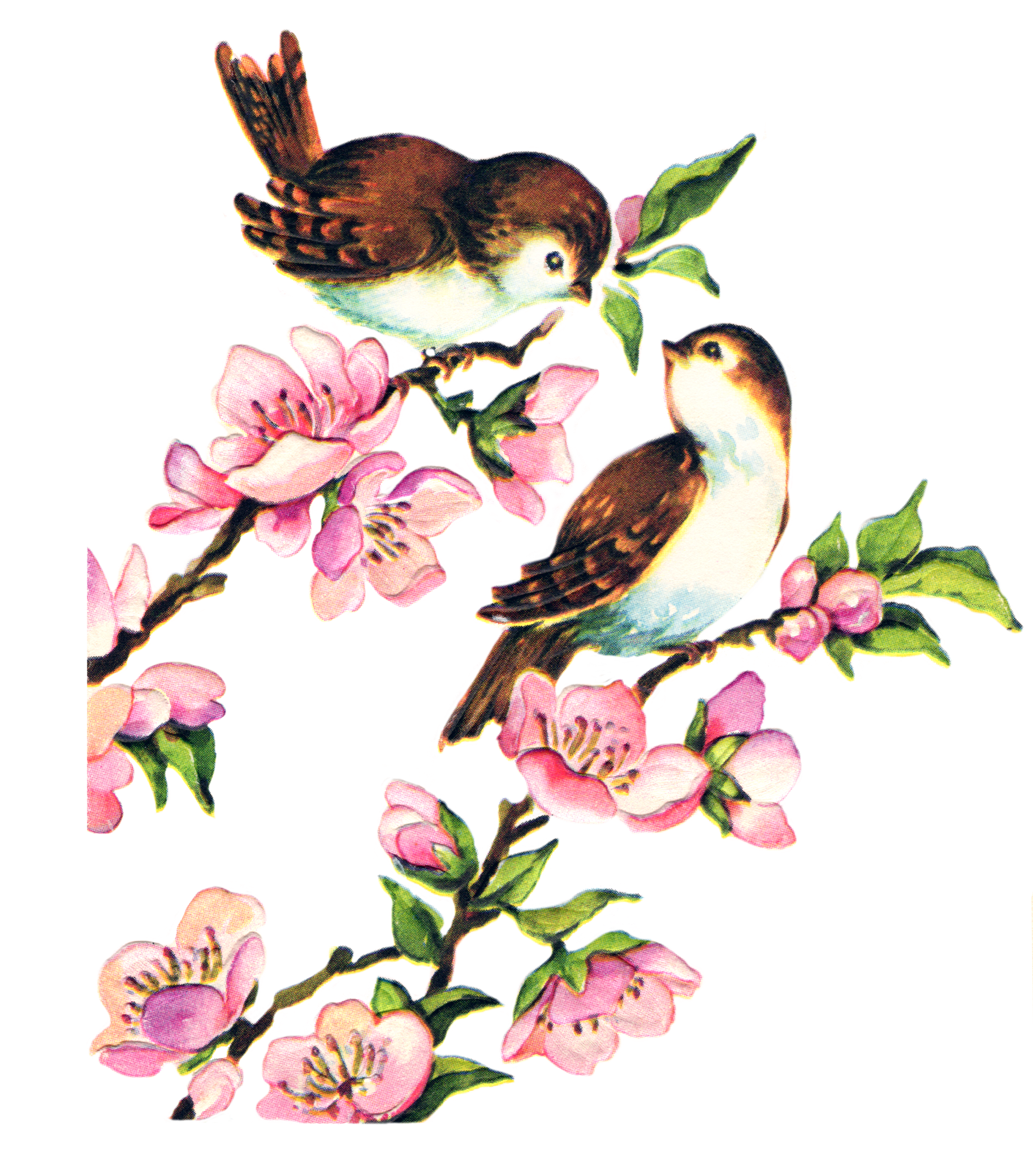 clipart vintage birds - photo #28