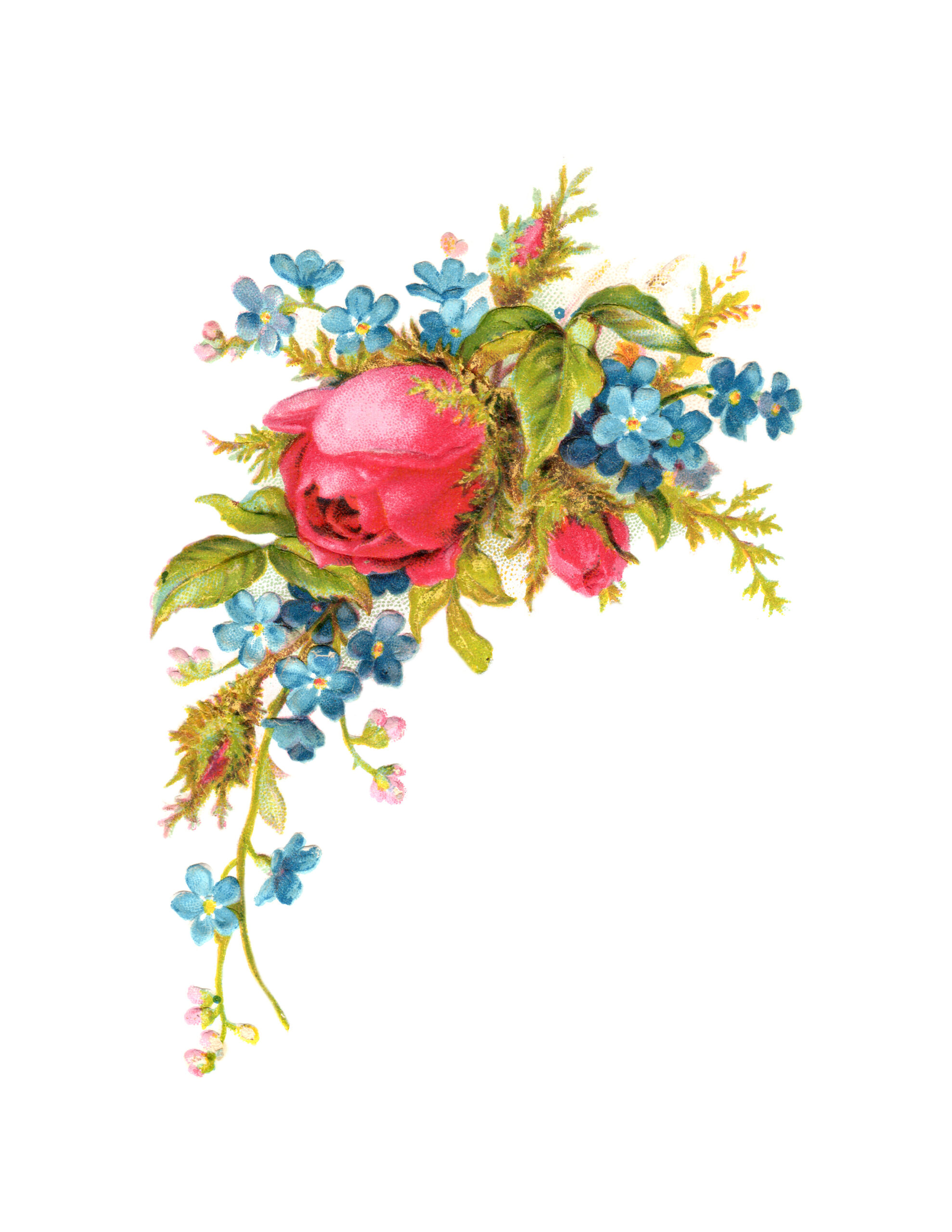 Roses: Royalty Free Clip Art - Free Pretty Things For You