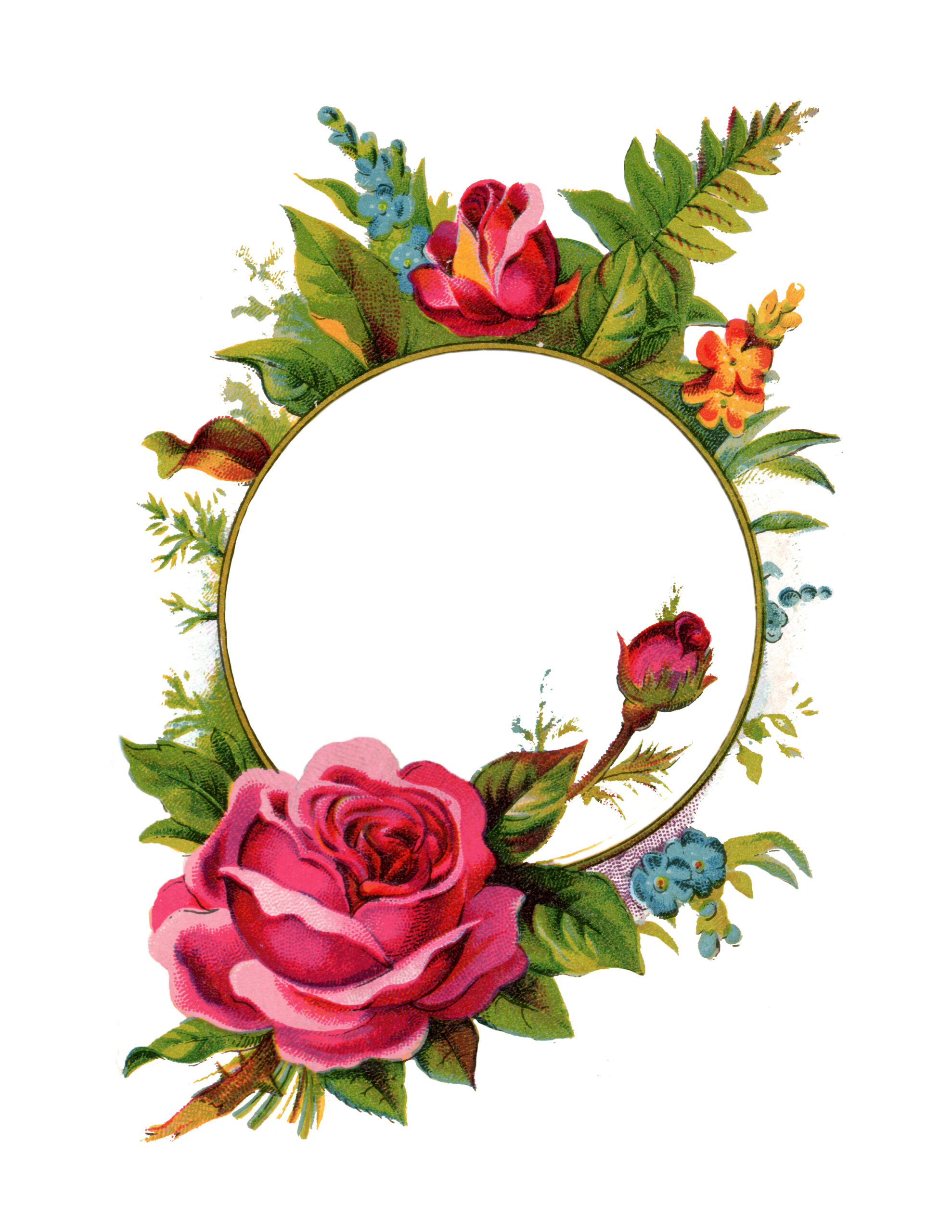 Free Stock Images-Rose Frame - Free Pretty Things For You