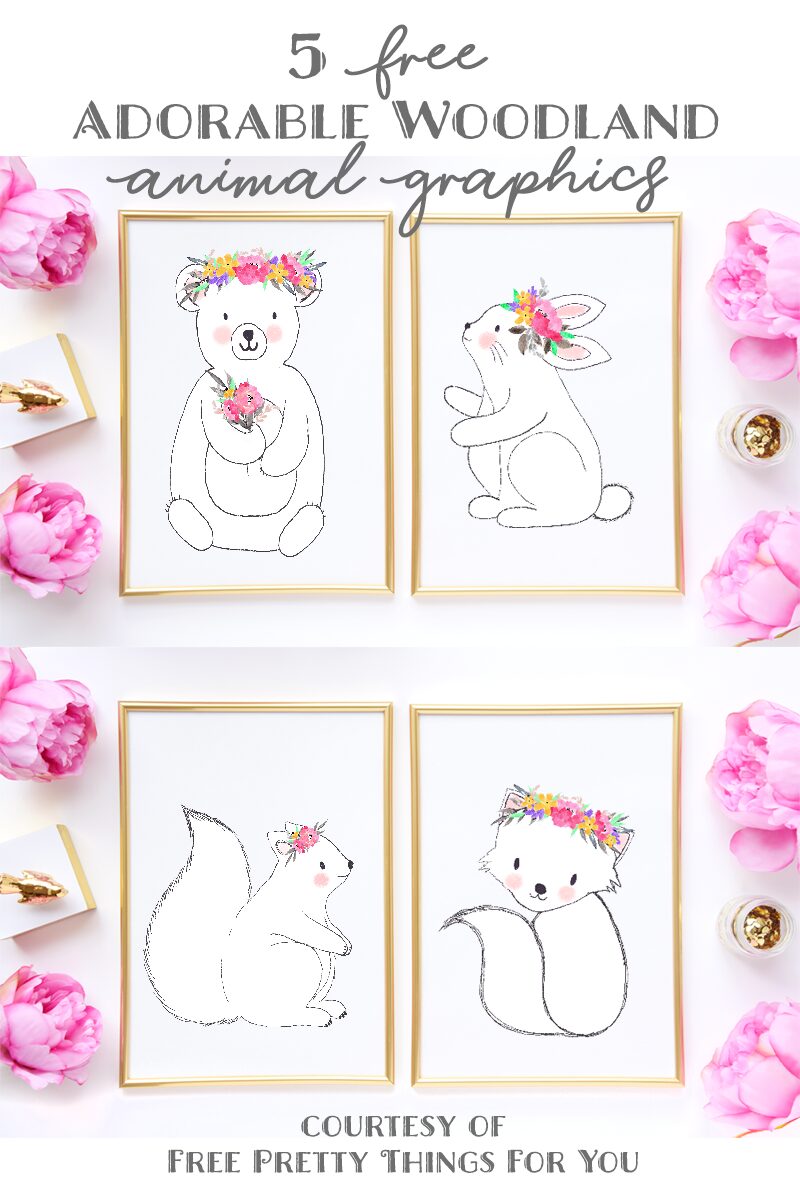 Free Adorable woodland animal clipart
