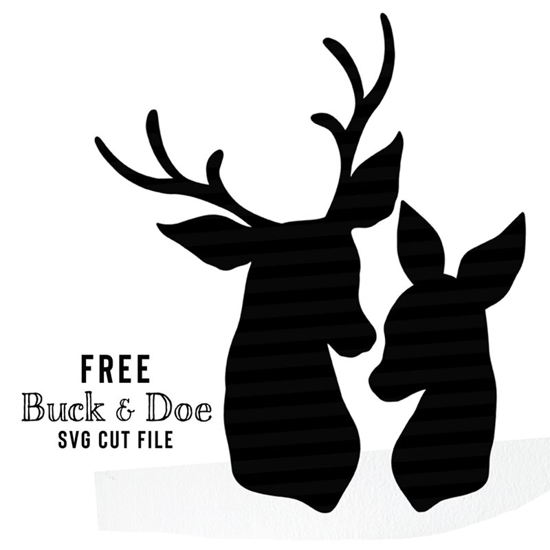 Free Buck And Doe SVG Cut Files