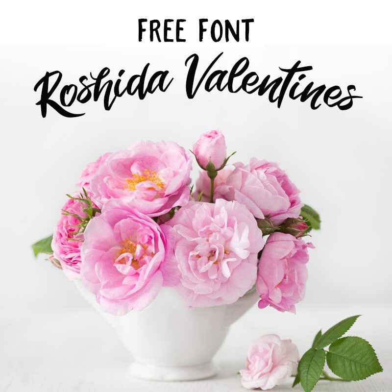 fonts