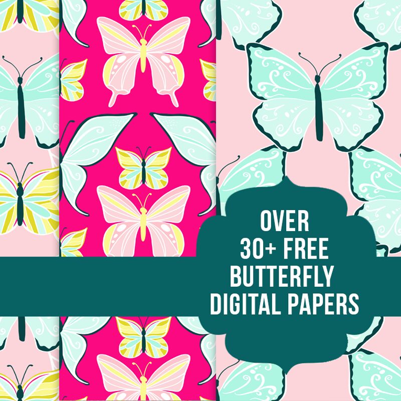 Free Butterfly Graphics