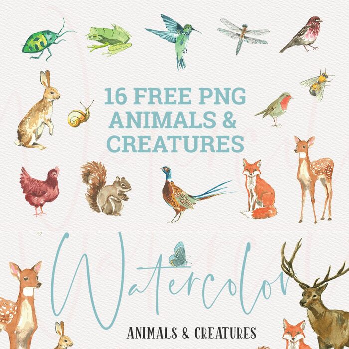 animals and creatures watercolor graphics collection