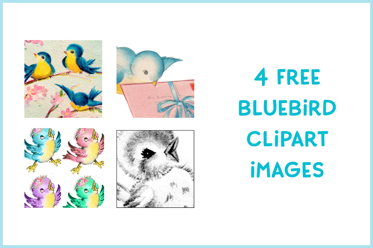 Four Free Bluebird Clipart images