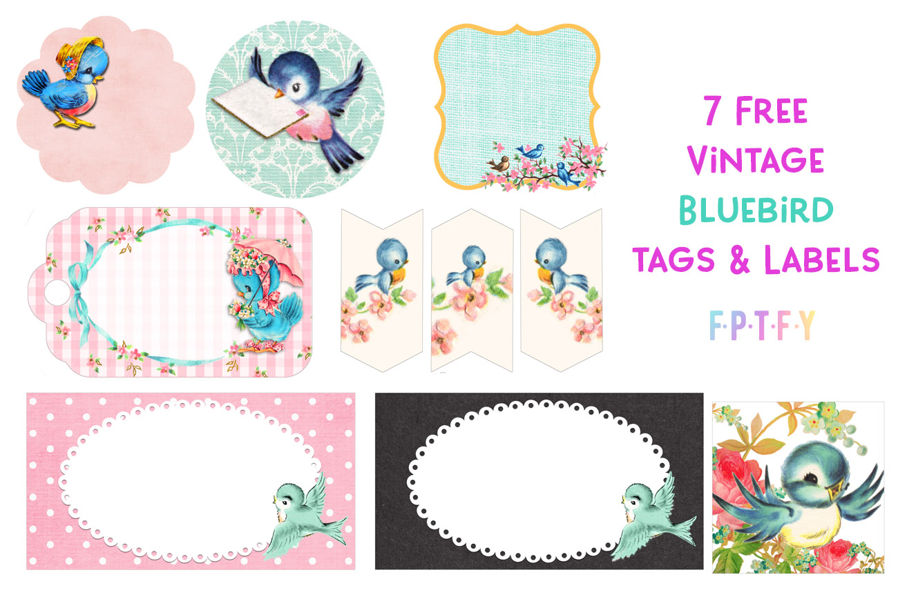 variety pack of vintage bluebird graphic tags and labels