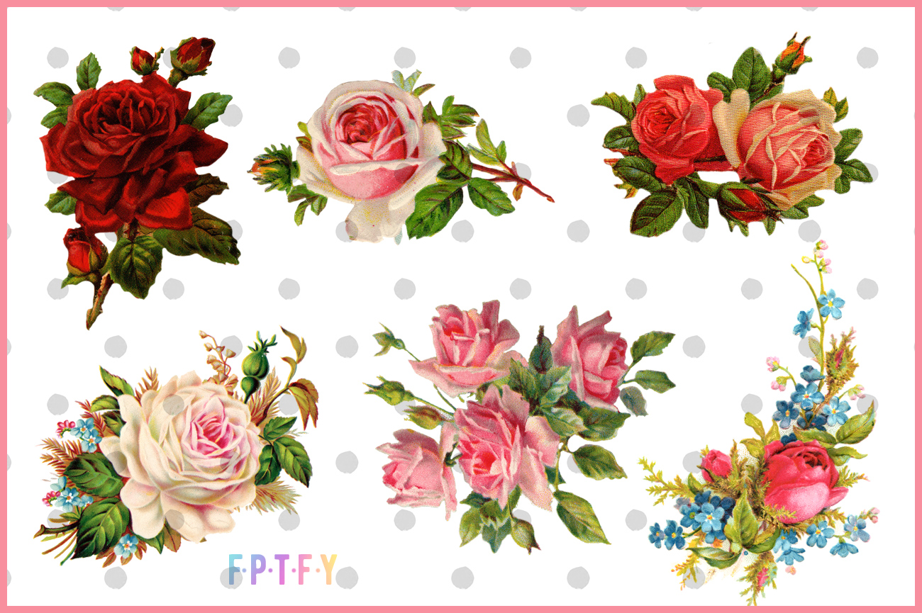 Free Vintage Rose Images