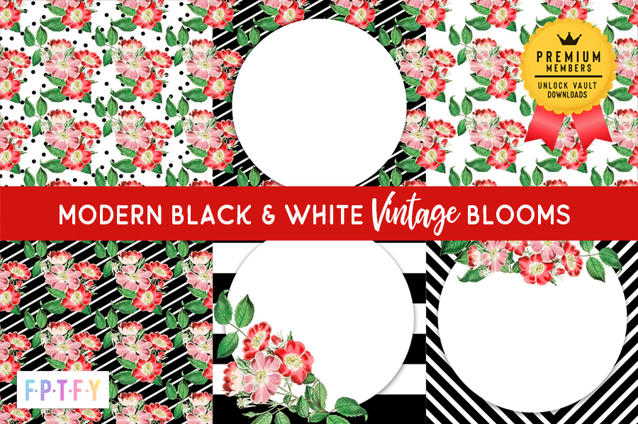 6 Modern Black and White Vintage Red Blooms