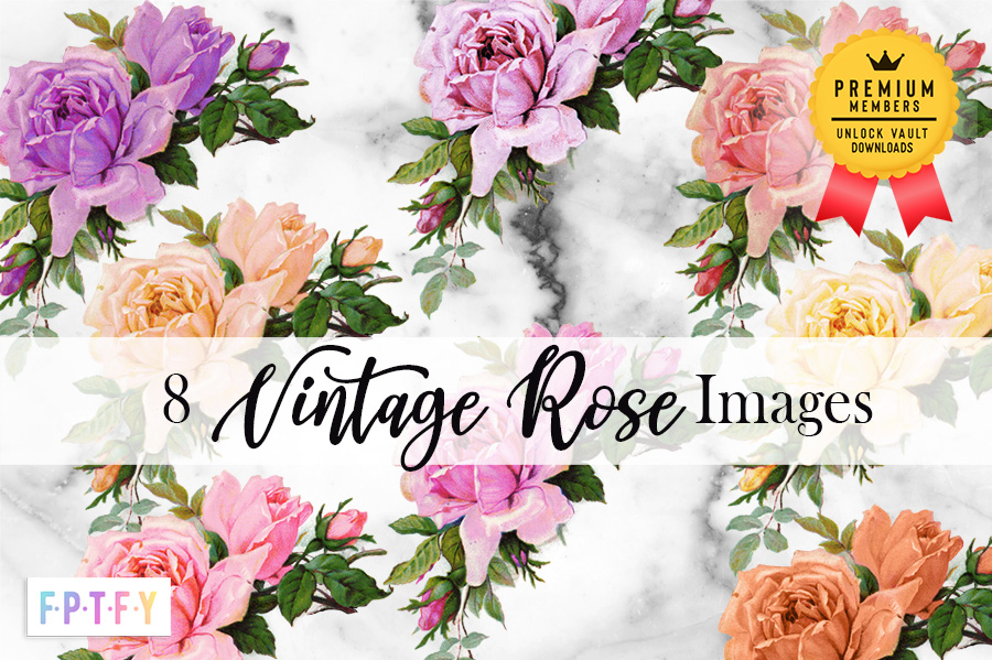 8 Vintage Rose Images