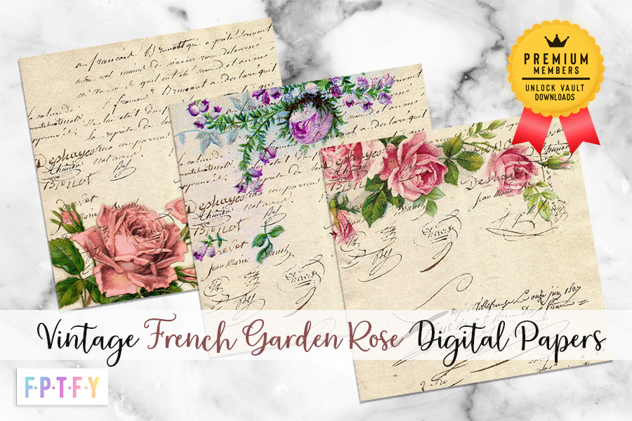 Vintage French Rose Garden Rose Digital Papers