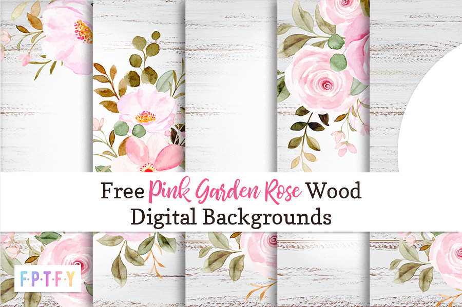 Free Pink Garden Rose Wood Digital Backgrounds