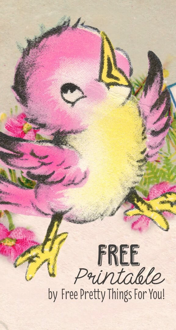 Free_Stock_Images_Pink_Bird_FPTFY_1