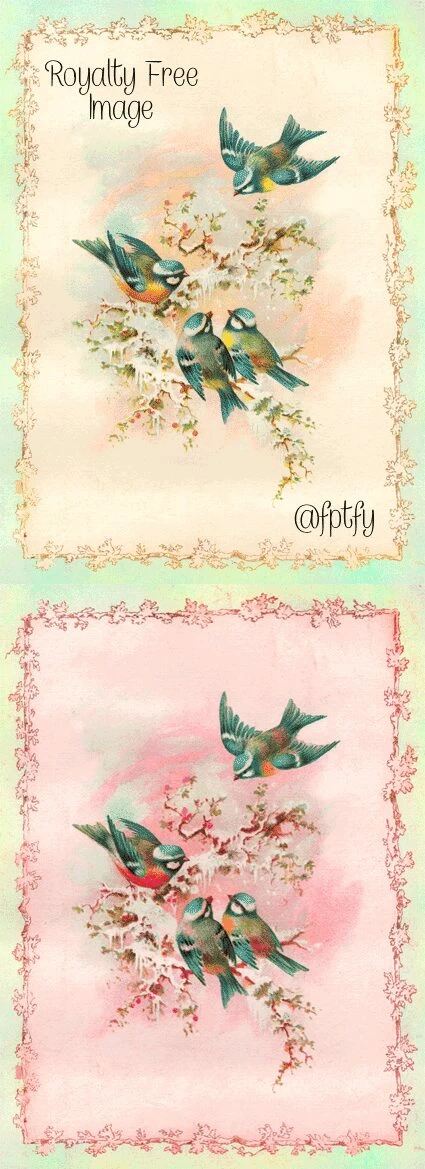 Free_bird_drawings_vintage_FPTFY_1b