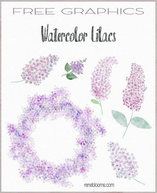 9-free-watercolor-flowers-reneblooms