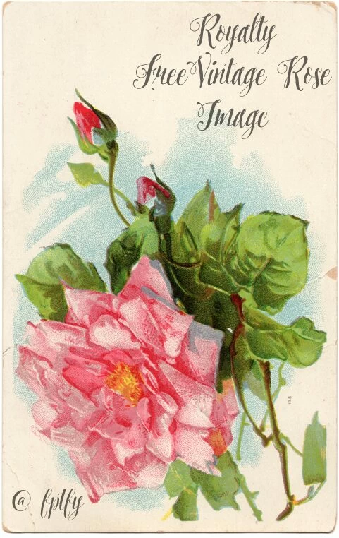 Royalty-Free-Vintage-Rose-Image-FPTFY-web