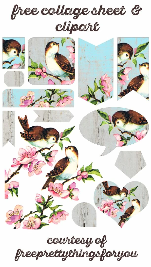 Free-collage-sheet-vintage-birds-FPTFY-1