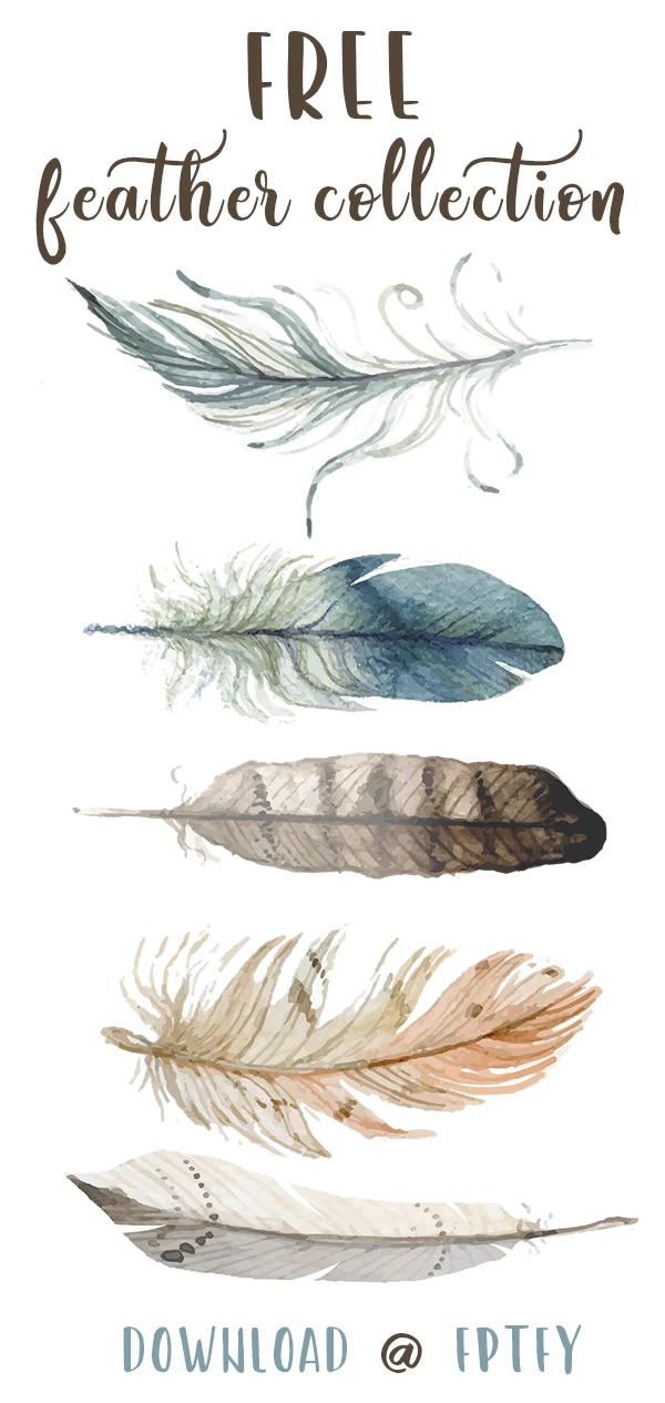 Free Hand drawn Feather Collection