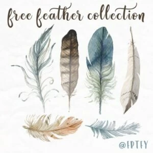 Free Hand drawn Feather Collection