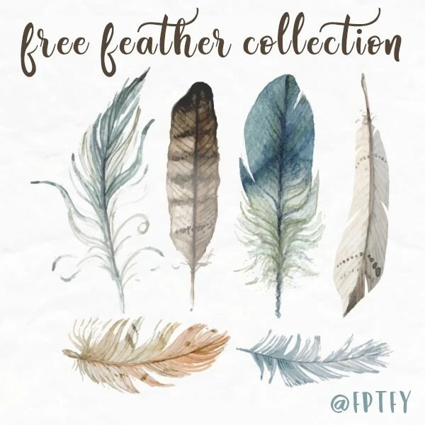 Free Hand drawn Feather Collection