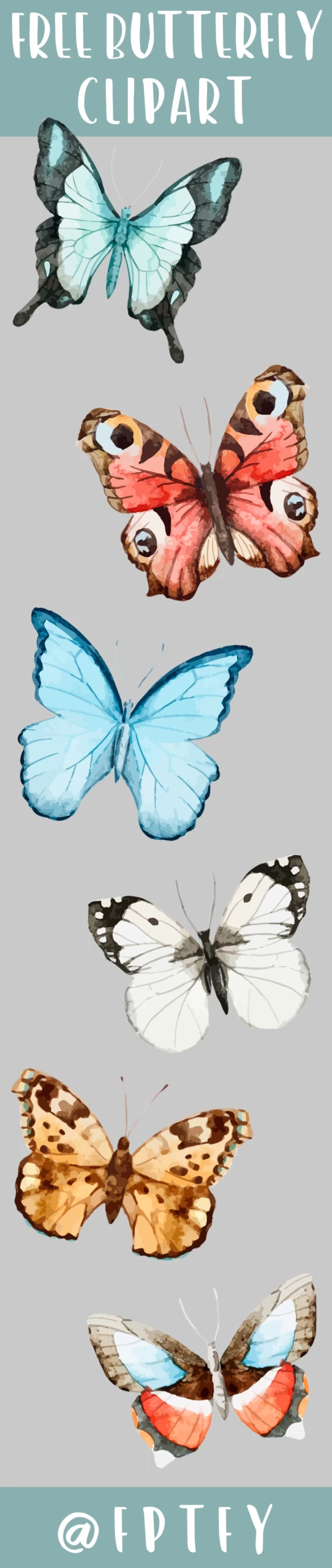 Free Butterfly Clipart-CU ok