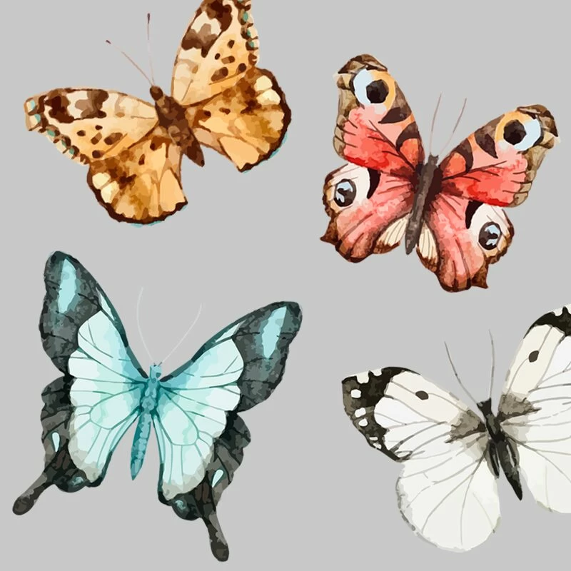 Free Butterfly Clipart-CU ok
