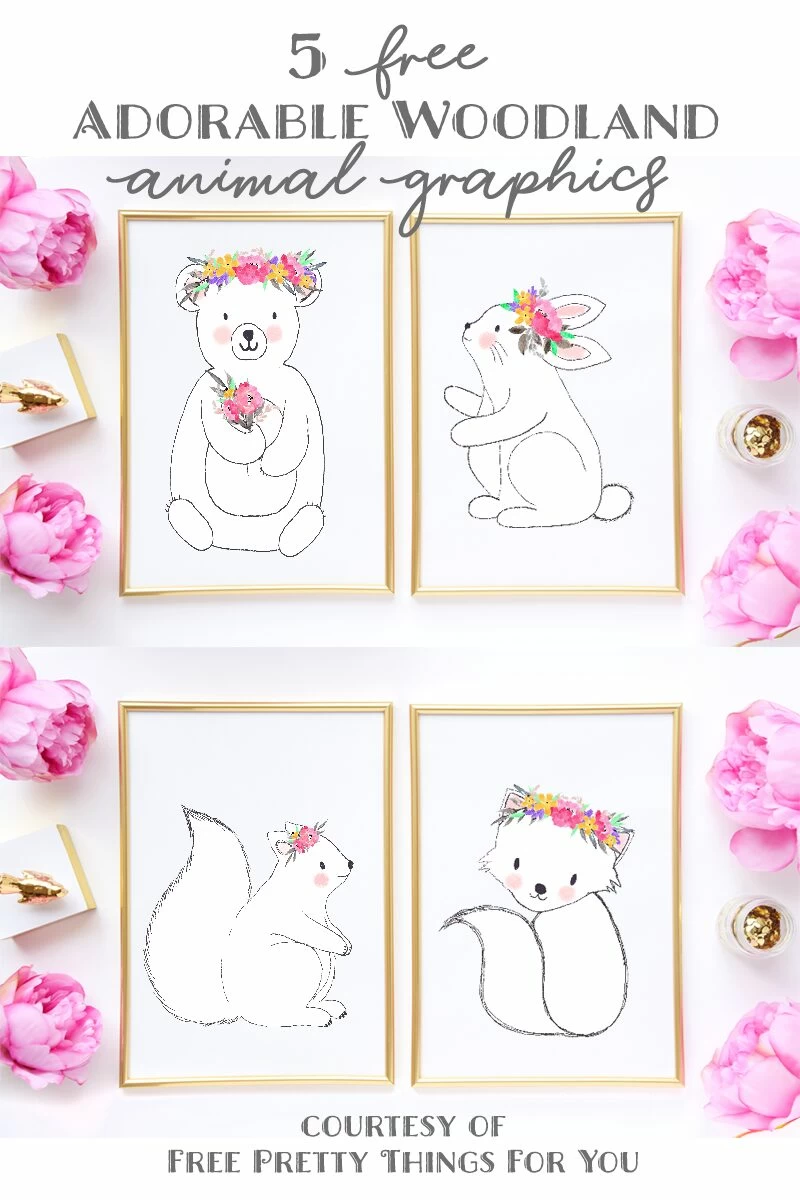 Free Adorable woodland animal clipart