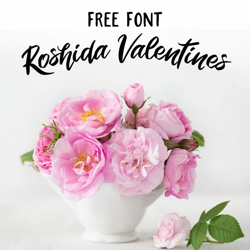 fonts