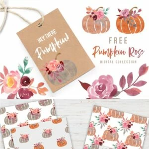 Free Pumpkin Rose Digital Collection