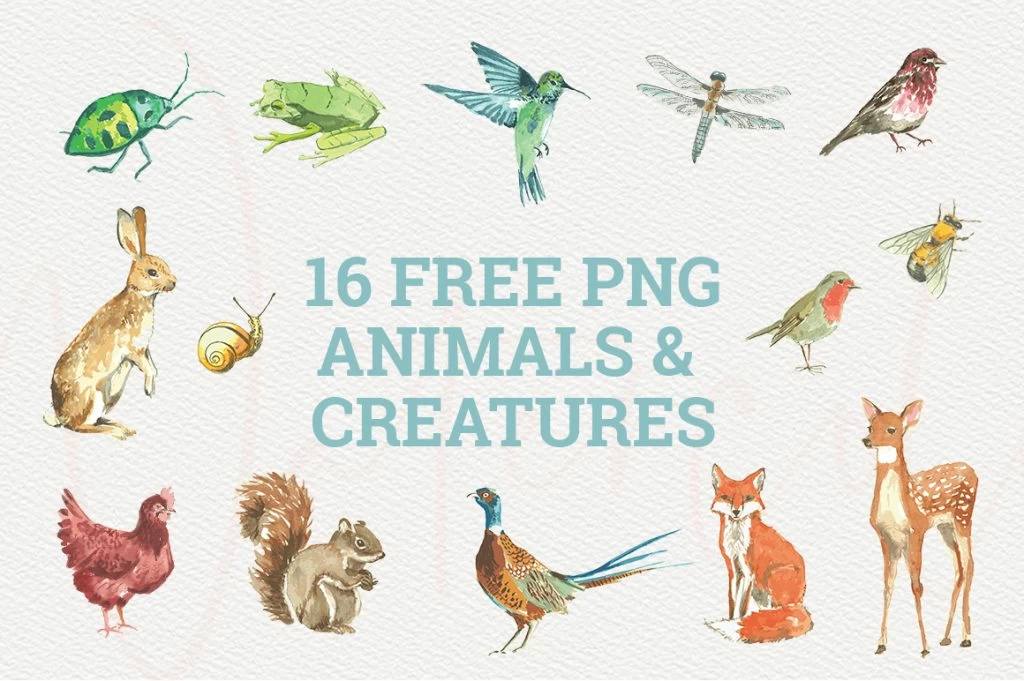 animals and creatures watercolor graphics collection