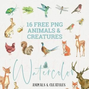 animals and creatures watercolor graphics collection