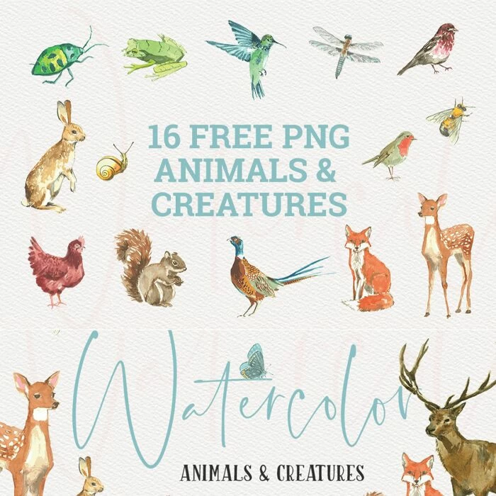 animals and creatures watercolor graphics collection