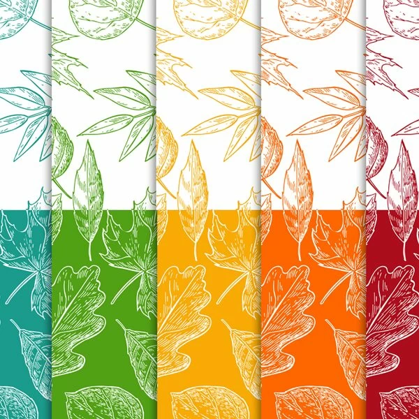 12 free colorful autumn digital papers
