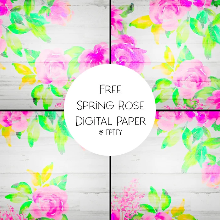 Free Spring Rose Digital Papers